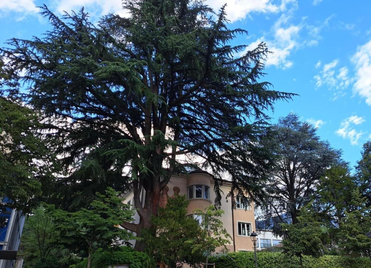 Mansardezedermit Parkplatz In Privatvilla Im Herzen Merans